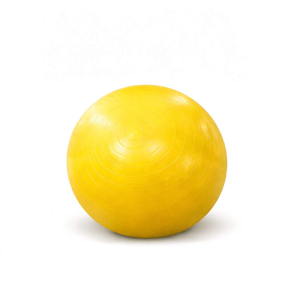 Kids Therapy Gym Ball